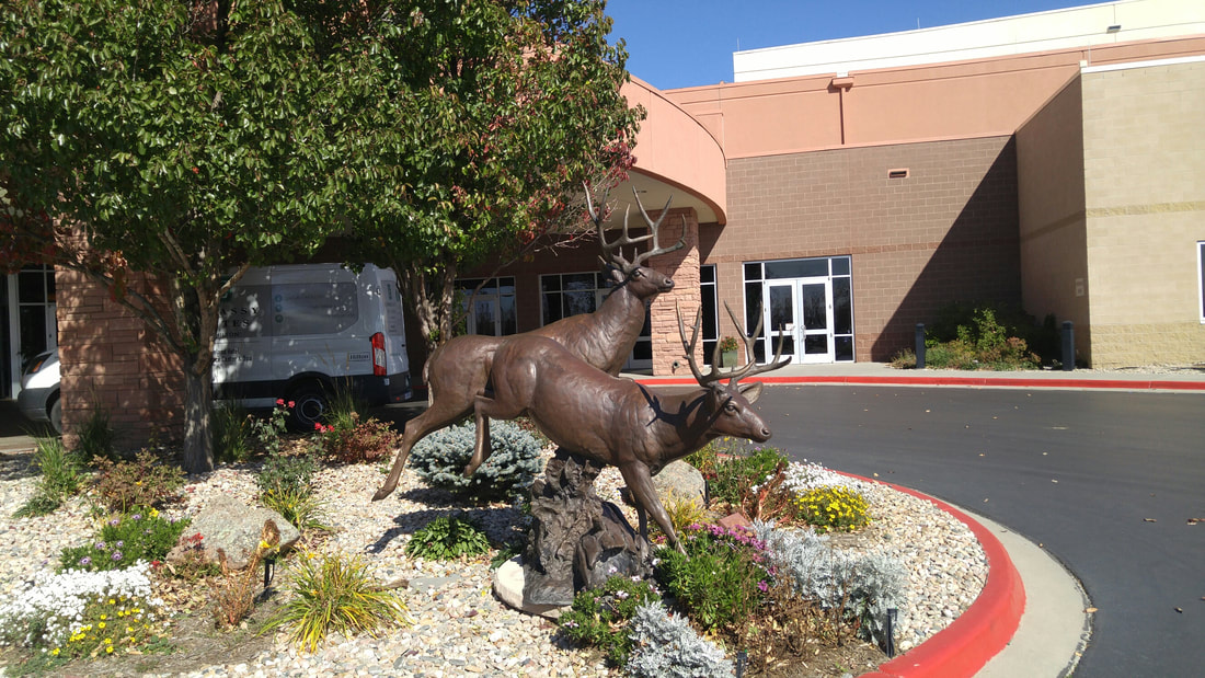 Curtis Zabel’s bronze Mule Deer sculpture 