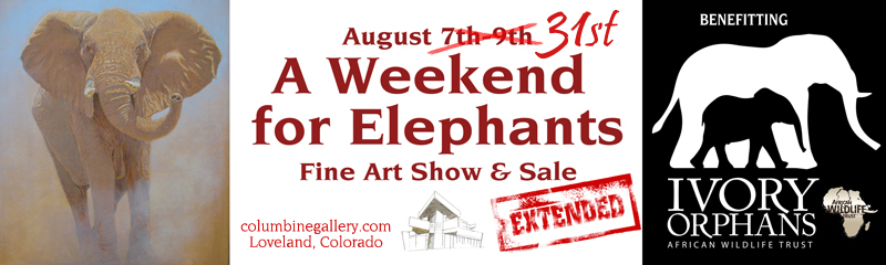 A Weekend for Elephants at Columbine Gallery African Wildlife Trust Artist Ambassadors Against Poaching