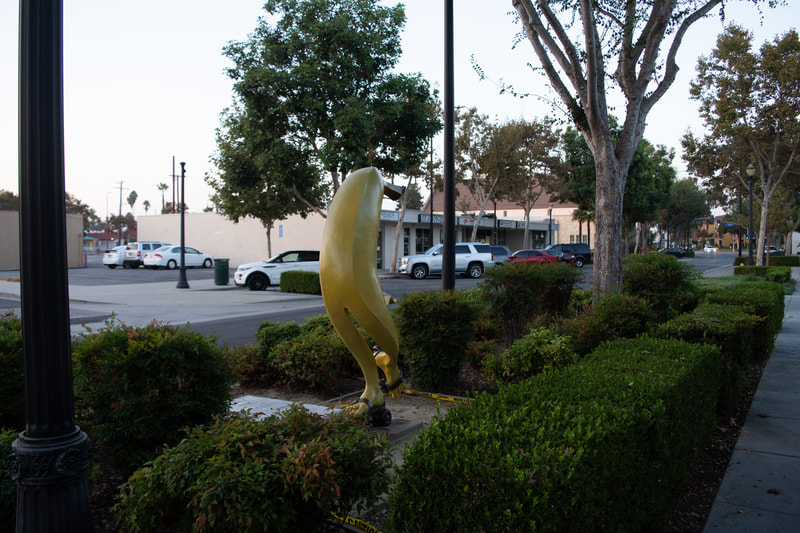 The National Sculptors' Guild has installed Affiliate Jack Hill's "On a Roll" in Downey, California. We're thrilled with this playful public art placement, appropriately placed adjacent to the Hall of Fame Market and Deli. We hope you find it a'peeling'.

This installation is part of a series of Public Art placements that the City has commissioned from the National Sculptors' Guild to enhance ​Downey Avenue.

​Special thanks to NSG Fellow Clay Enoch, Capitol Crane and the City of Downey for the installation help.

​NSG Public Art Placement #521