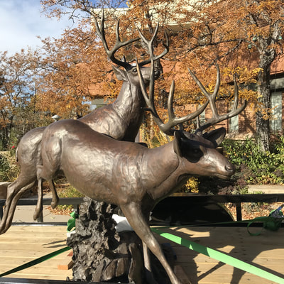 Curtis Zabel’s bronze Mule Deer sculpture "The Escape" is heading out of the National Sculptors' Guild Sculpture Garden for temporary display at the entry of Embassy Suites Loveland. We think it looks great!
Make it yours, click here