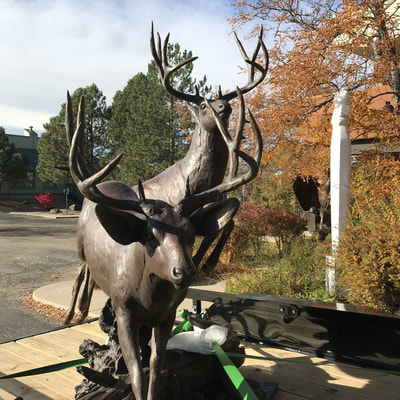 Curtis Zabel’s bronze Mule Deer sculpture "The Escape" is heading out of the National Sculptors' Guild Sculpture Garden for temporary display at the entry of Embassy Suites Loveland. We think it looks great!
Make it yours, click here