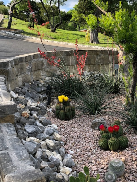 One of our clients sent us these beautiful images from their sculpture garden. Did you know John frequently designs floral elements in our placements? Gardening is one of his passions. And landscaping can be just as expressive as the art showcased in it.

These cactus in Boerne, Texas are displaying their amazing colors, and it is breath taking. 

Share the simple beauty that is surrounding you these days, sometimes it's art, sometimes it's nature's sculptures.


#LivingWithArt #CollectorsCorner #EyeCandy #FloweringCactus #SculptureGarden #LandscapeDesign