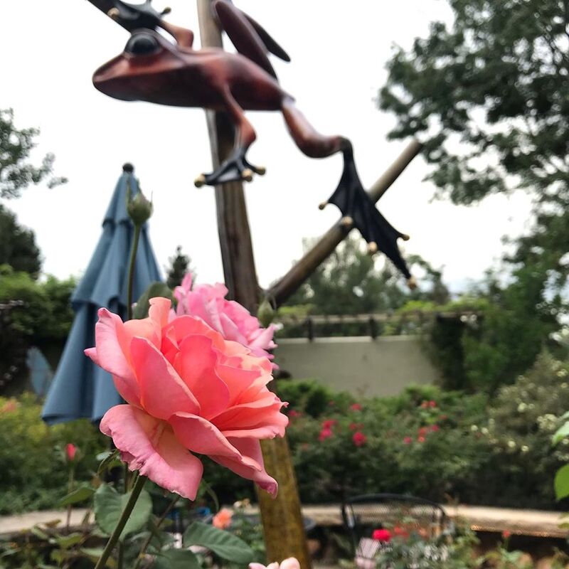 #StopToSmellTheRoses in the #NationalSculptorsGuild #SculptureGarden at #ColumbineGallery.

​The colors are gorgeous and combined with great #Art it makes for great #EyeCandy.

Add Denny Haskew's "Forever A Rose" to your garden, and enjoy roses year round. shop online

#FlowersAndArt #Sculpture #Gallery #ArtAndFlowers #beauty #Colorado #PerfectDay #Garden 