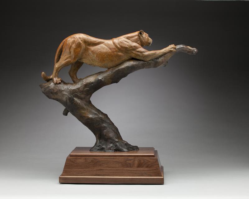Mountain Lion Bronze Sculpture by Daniel Glanz available at Columbine Gallery home of the National Sculptors' Guild